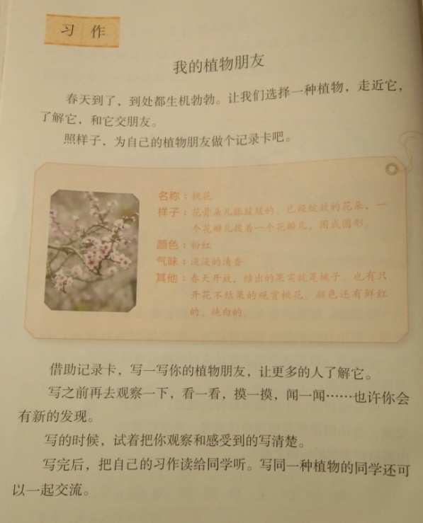 作文我的植物朋友