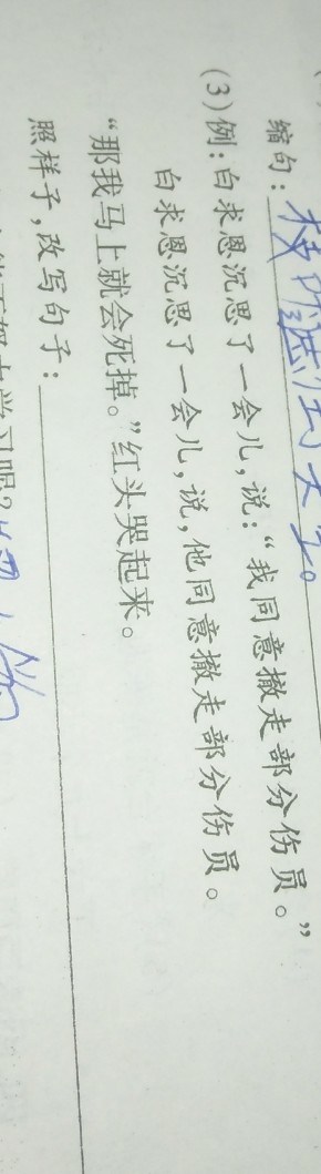照样子改写句子