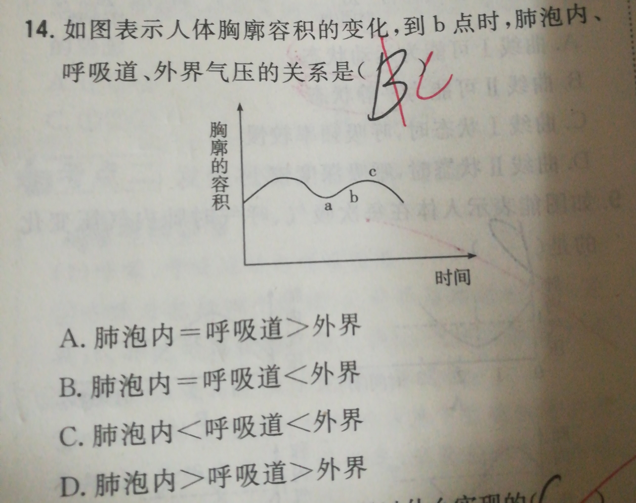 到b点时,胸廓容积在扩大,此时,肺随之扩大,肺内气压下降小于外界气压