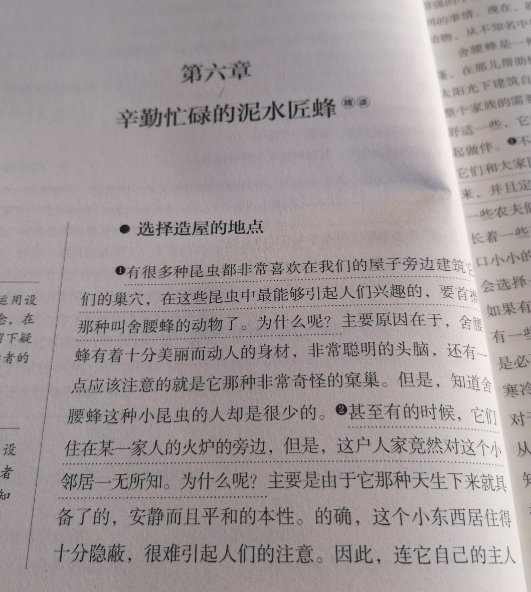 昆虫记第六章的阅读感想