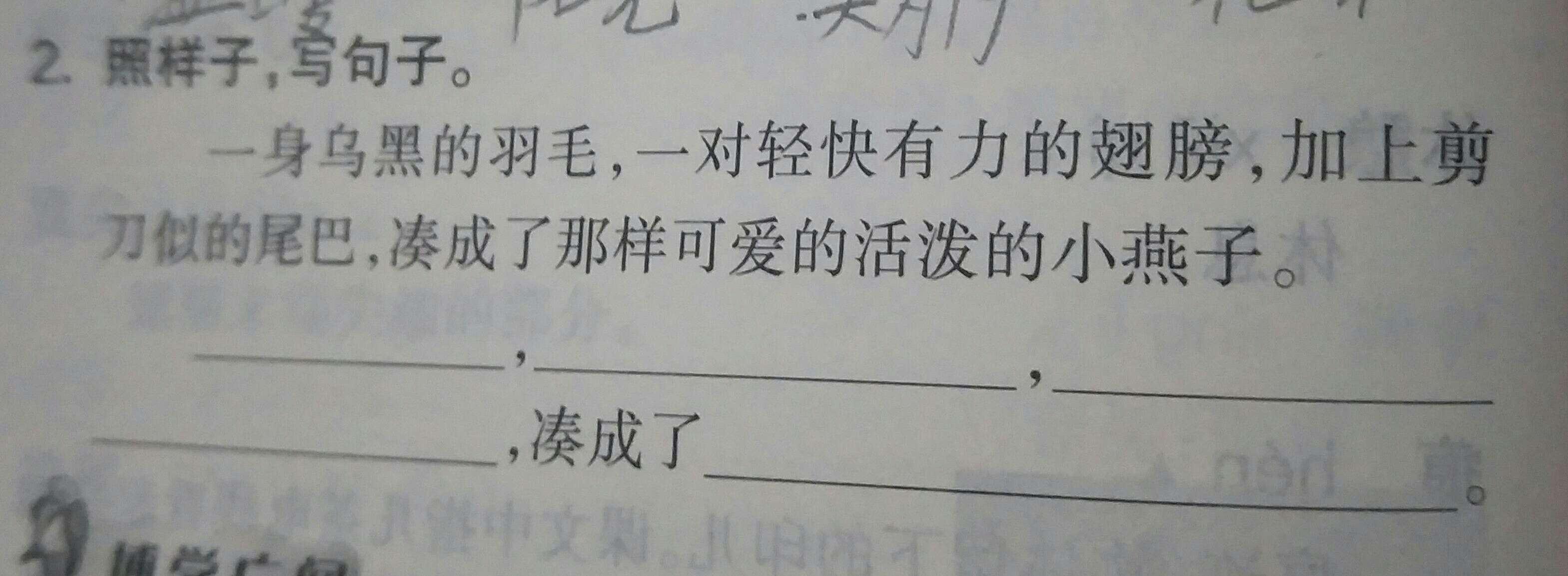 无瑕,一对竖起的耳朵,加上红宝石般的眼睛,凑成了伶俐可爱的小白兔