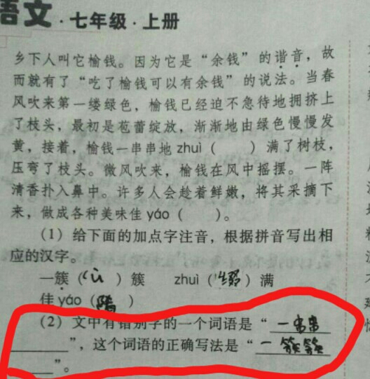 错别字的成语是哪个,这个词语的正确写法怎么写