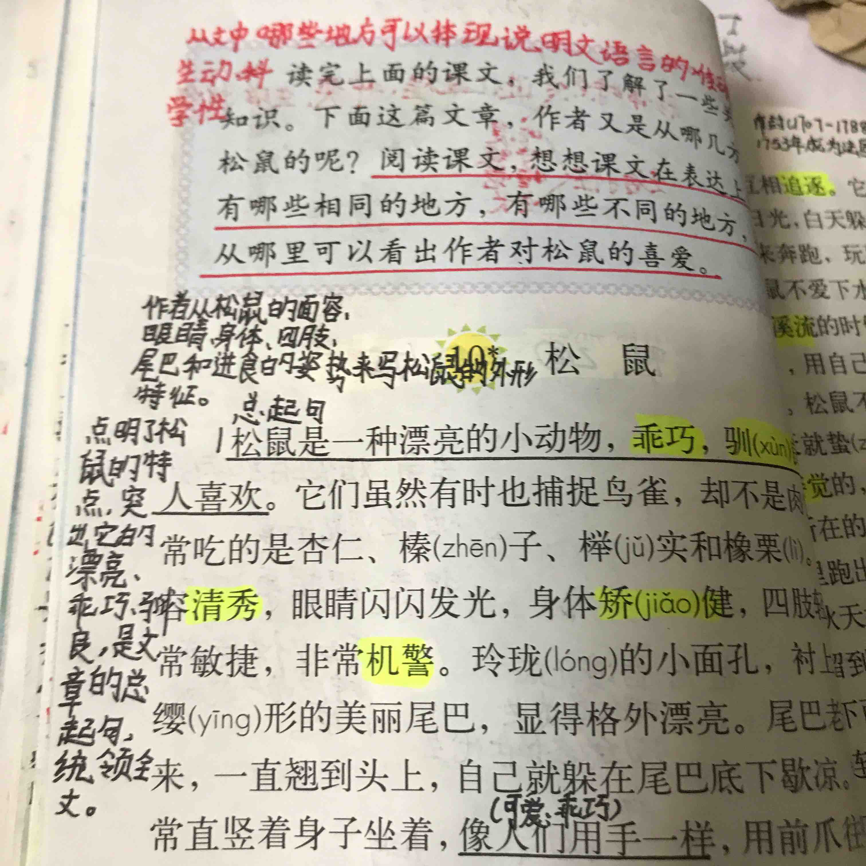 人教版小学二年级上册语文先学后教当堂训练教案_人教版二年级上册语文日记两则教案_人教版小学二年级上册语文先学后教当堂训练表格式教案