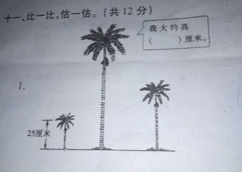 二年级数学估一估图题图片