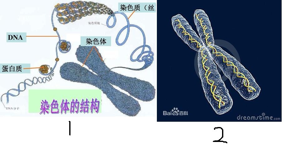 作业辅导 - 同桌100学习网