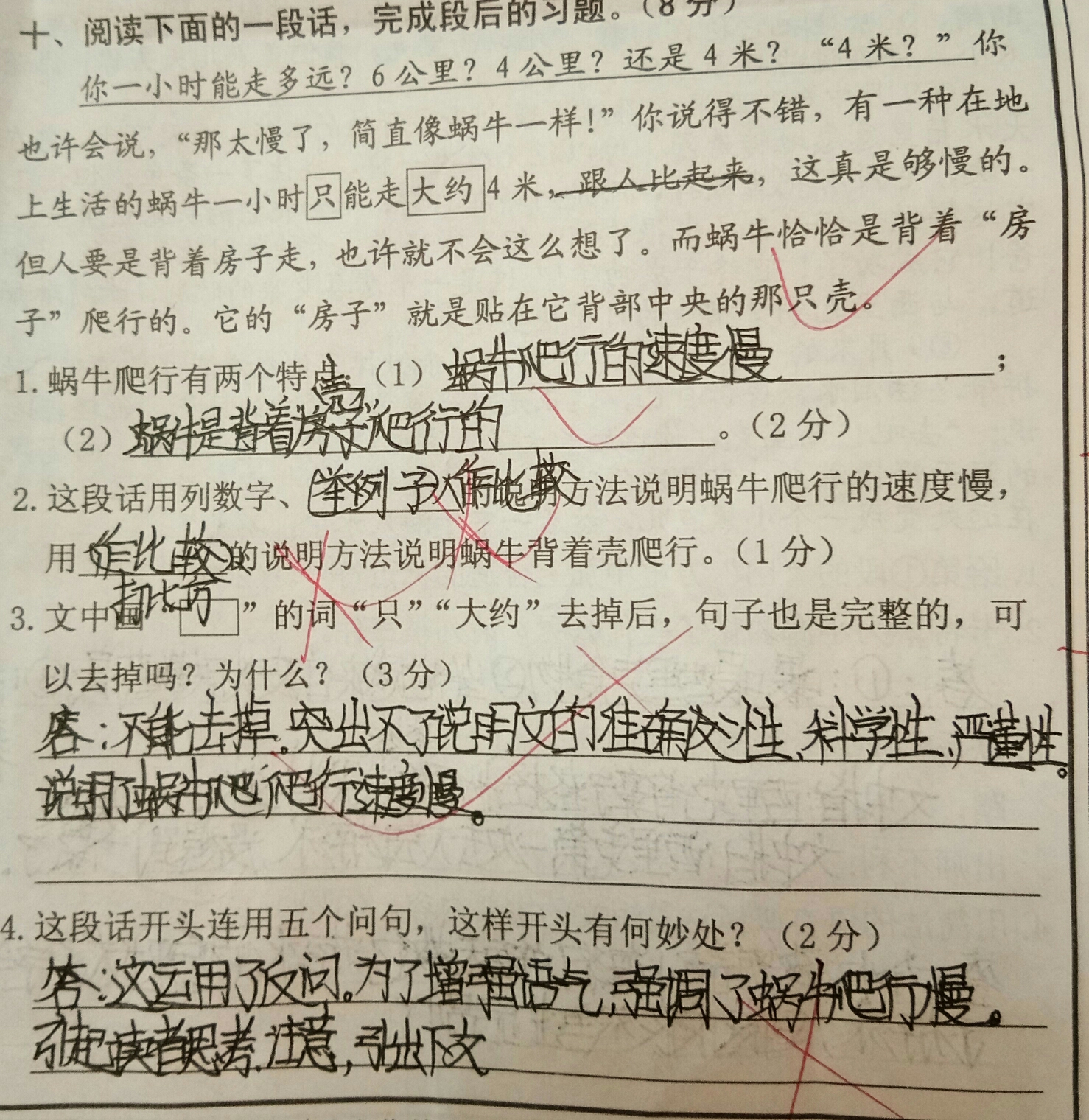 语文阅读题手写,语文阅读题(第3页)_大山谷图库