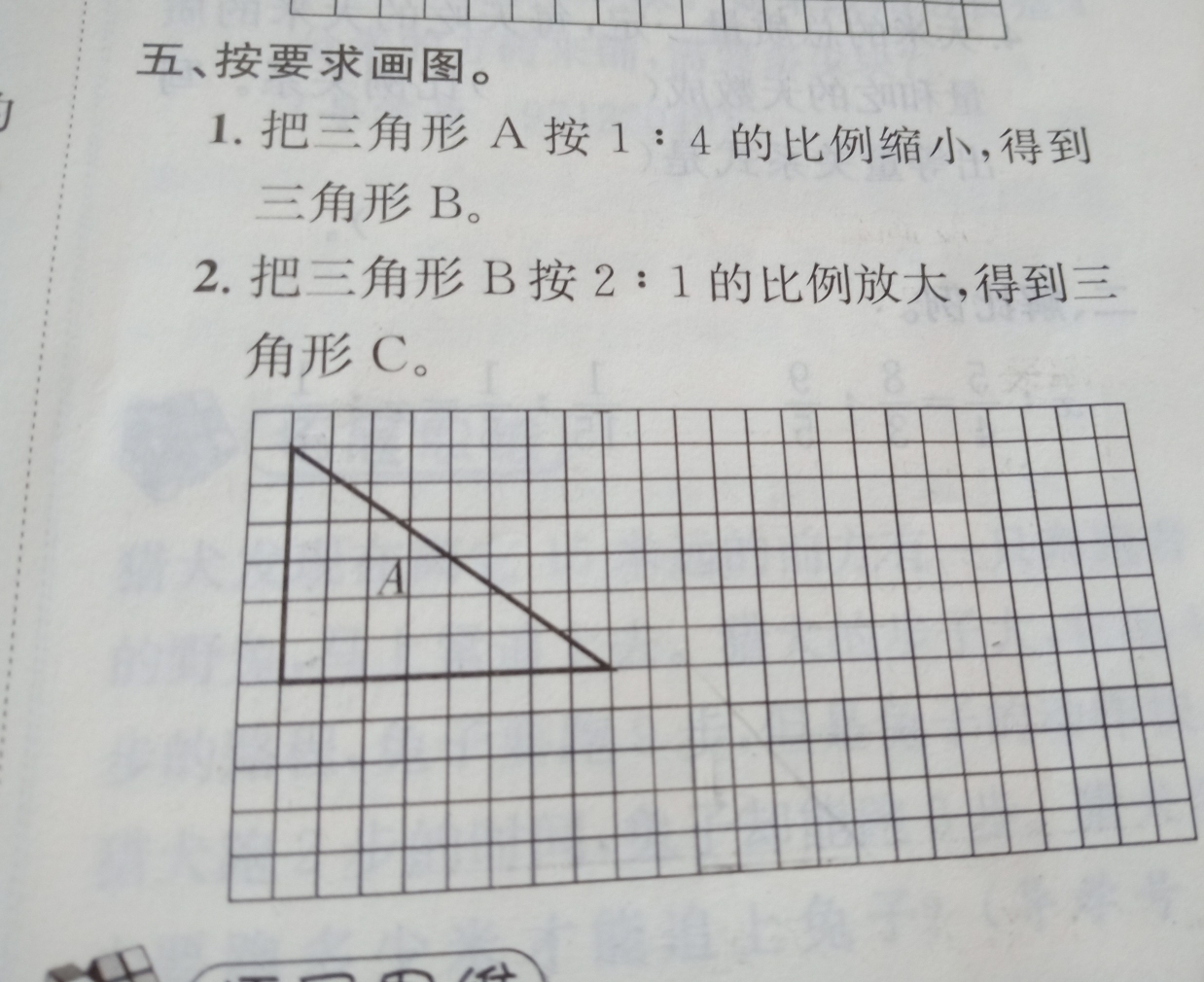 图形的放大与缩小