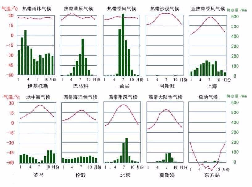 热带雨林柱状图图片