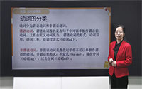 动词的分类